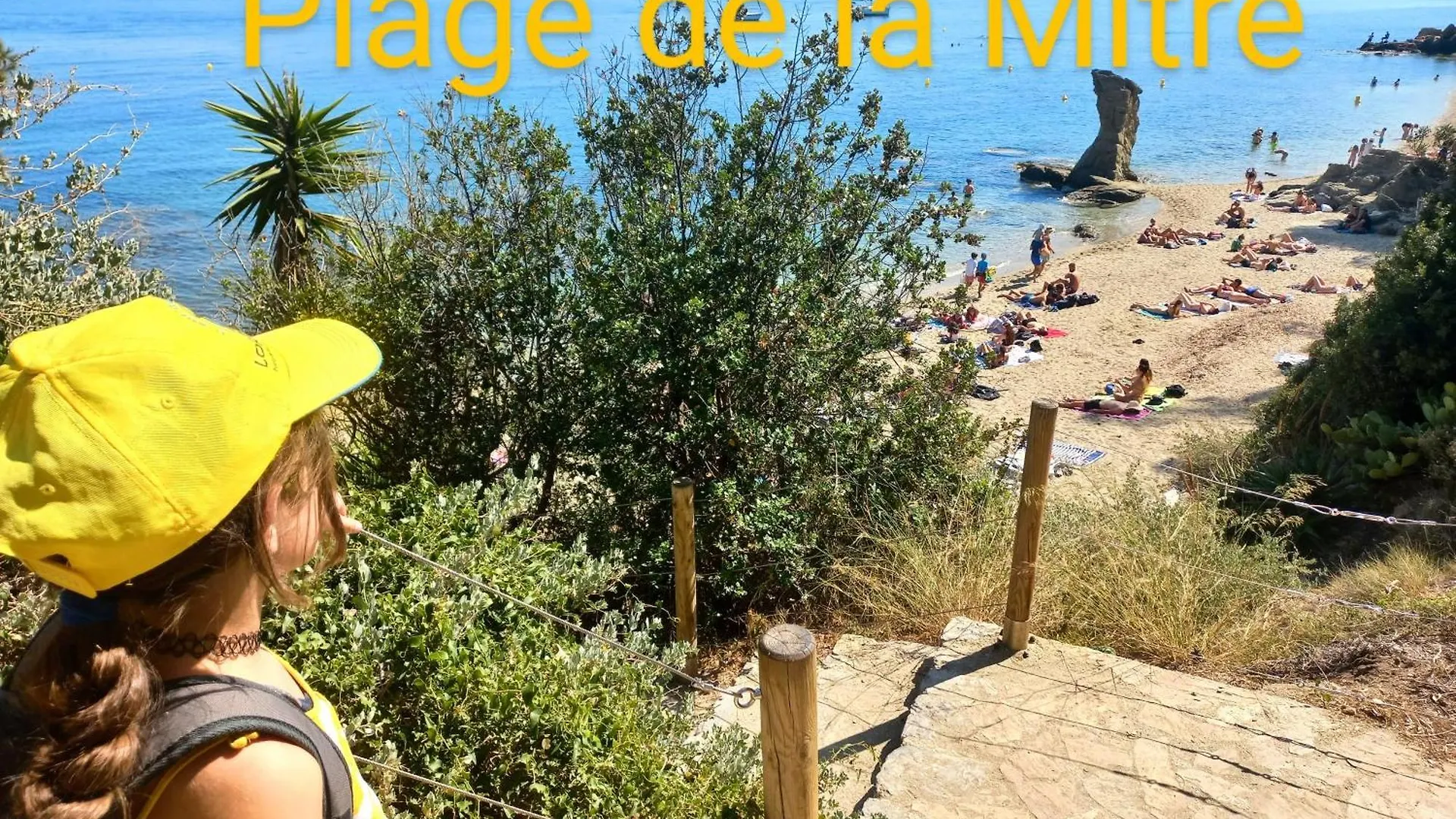 Appartement Harry Potter A La Plage Toulon